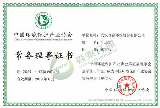 中国环境保护产业协会常务理事证书_副本.png